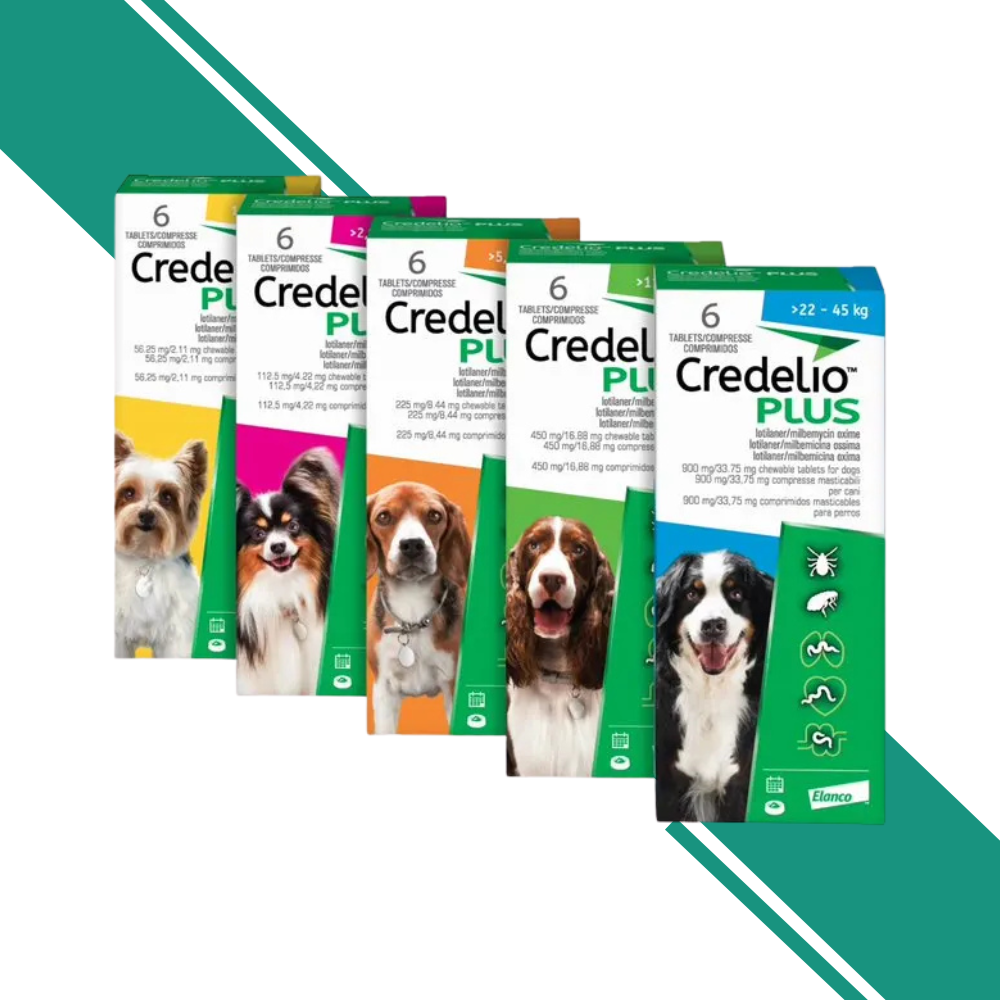 Credelio Plus Chewable Tablets for Dogs – Flea and Tick Treatment